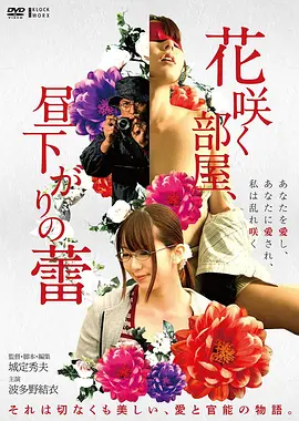 第十三层档案电影海报